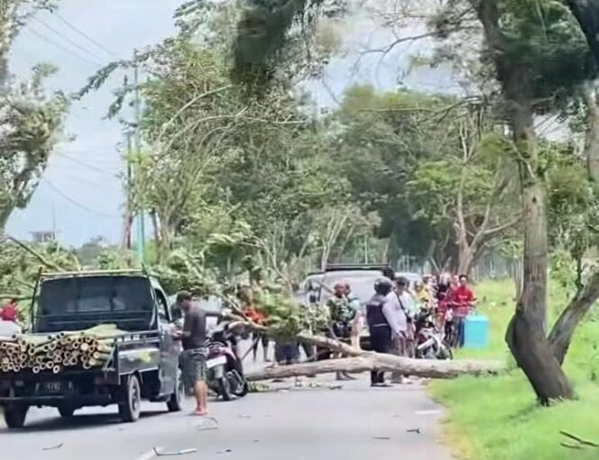 
					Angin Kencang Melanda Banyuwangi Akibat Bibit Siklon Tropis