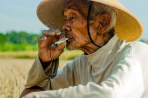 Rokok Ilegal: Antara Harga Murah dan Biaya Mahal Kesehatan (Sssttt…! Nomor 4 dan 22 Kesukaan Pria Hidung Belang)