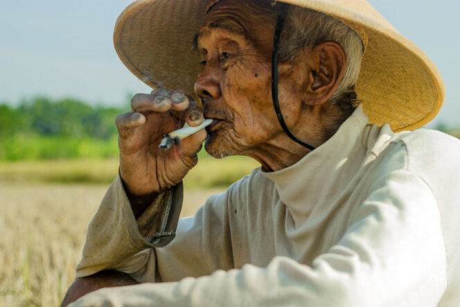 
					Rokok Ilegal: Antara Harga Murah dan Biaya Mahal Kesehatan (Sssttt…! Nomor 4 dan 22 Kesukaan Pria Hidung Belang)