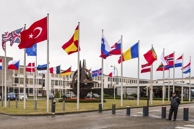 
					Elon Musk Serukan Amerika Keluar dari NATO: Awal Mula Hancurnya Aliansi Barat?