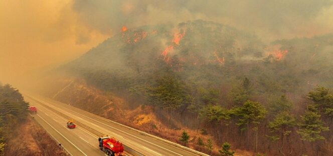 
					Kebakaran Hutan di Korea Selatan Semakin Parah, 24 Orang Tewas dan Helikopter Pemadam Jatuh