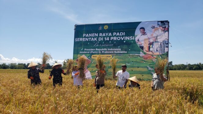 
					Banyuwangi Gelar Panen Raya Padi Serentak Dukung Program Swasembada Pangan Nasional