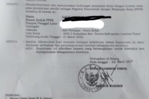 PPPK Bisa Dipecat? Kasus Ini Bisa Jadi Pengingat Serius bagi ASN Baru!