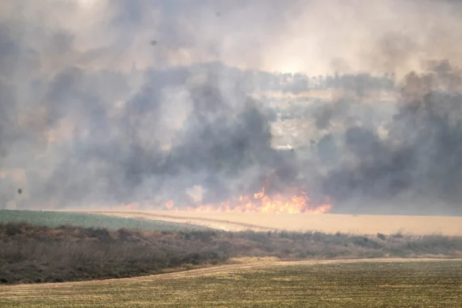 
					Asap yang membumbung tinggi akibat kebakaran di hutan antara Jerusalem dan Tel Aviv, Rabu 30 April 2025.