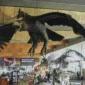 Bandara Wellington akan turunkan patung ikonik elang Gandalf dari film The Lord of The Rings yang telah menghiasi terminal sejak tahun 2013.