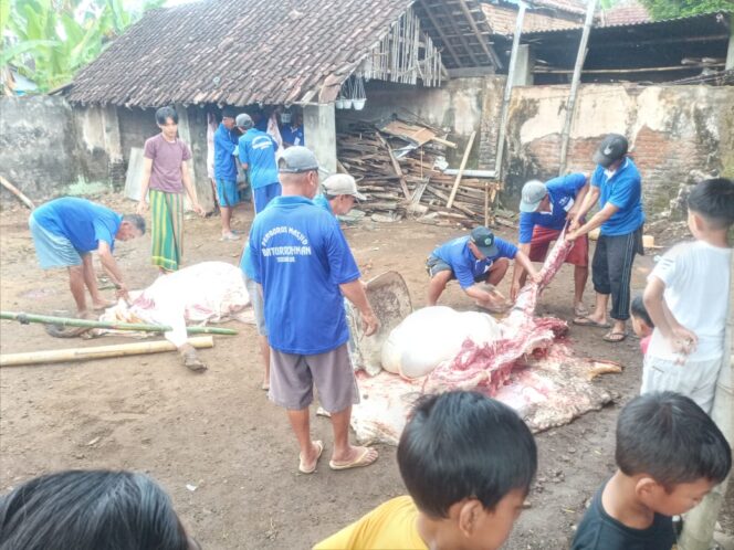 
					Desa Gladag Sembelih 14 Sapi dan 28 Kambing Kurban: Dibagikan kepada 2.582 KK