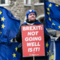 Survei YouGov ungkap mayoritas warga Eropa ingin Inggris kembali ke Uni Eropa, tapi tanpa keistimewaan seperti sebelum Brexit.