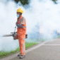 China melaporkan 7.000 kasus wabah chikungunya di Foshan. Pemerintah gunakan drone, insektisida, hingga denda untuk kendalikan virus itu.