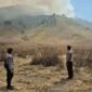 Kebakaran hutan dan lahan meluas di kawasan Gunung Bromo hingga Jemplang Malang