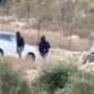 Rombongan diplomat Eropa menghadapi serangan pemukim Israel di Desa Taybeh, Tepi Barat.